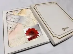 [未使用品]ブルーミング中西PARIS ハンカチセット