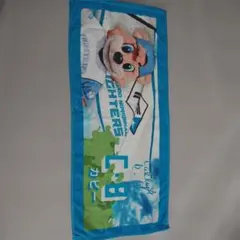 Item thumbnail for item 556cc53c-b394-41cc-9b75-42ed6328e5b7