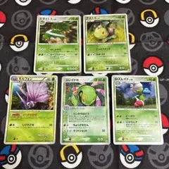 ポケカ 草のサムネイル