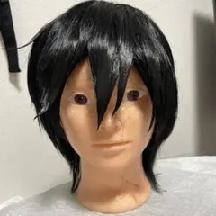 あんさんぶるスターズ　あんスタ　氷鷹北斗　コスプレ　ウィッグ