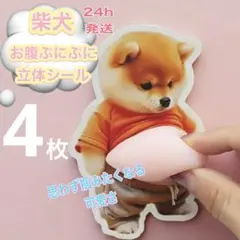 土日限定SALE　柴犬　おなかぷにぷにシール4枚　立体　ぷっくりお腹　スクイーズ