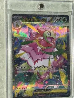 2026年最新】メガニウム psa10の人気アイテム - メルカリ