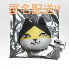 動物マスコットミニビーズクッションVol.2 角名倫太郎 ハイキュー