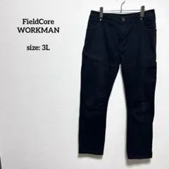 フィールドコア ビッグサイズ 3L 4D超撥水 ストレッチスラックス ブラック