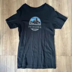 PATAGONIA ブラック Tシャツ M スリムフィット