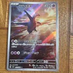 レイ様 リクエスト 2点 まとめ商品