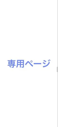 専用ページ