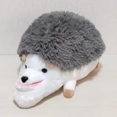 シャクレルプラネット ハリネズミ BIG ぬいぐるみのサムネイル