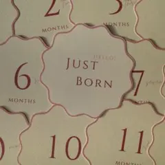 Item thumbnail for item b777229b-67ce-42c3-a495-f3f2846aef0d