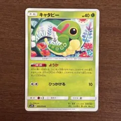キャタピー C SM9b フルメタルウォール 002/054 しぶゾーのサムネイル