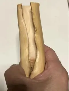 Item thumbnail for item 3003ec7a-e963-4f47-afc9-12f35f0599cf