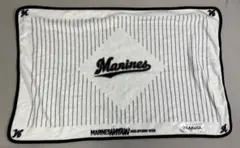 【未使用】2023/4/4 ホーム開幕戦ブランケット