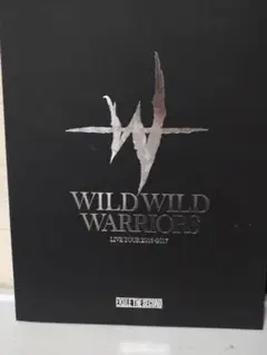 WILD WILD WARRIORS ツアーパンフレット EXILESECOND