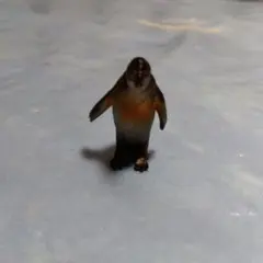ペンギン　フィギュア