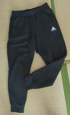 Item thumbnail for item 97a531a5-4555-49f3-a550-c7b444809a77