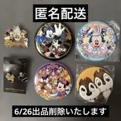 香港ディズニー 20周年記念 ピンバッジ2個セット - メルカリ