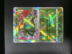 かがやくフシギバナ K S10b Pokémon GO エラー　029