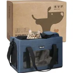 Item thumbnail for item 46d49743-ddd9-4b97-a9cd-263dd22d907a