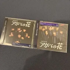 MATSURI アガベの花 2形態セット