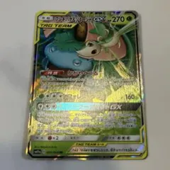 フシギバナ＆ツタージャGX RR SM11a リミックスバウト 001/064