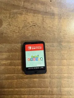 Nintendo Switch ソフト あつまれどうぶつの森+ ケース