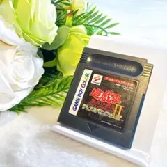 動作確認清掃済み遊戯王デュエルモンスターズII ゲームボーイカラー任天堂Nint