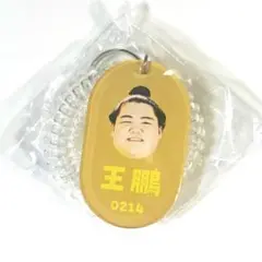 王鵬　ロッカーキー風キーホルダー　大相撲ガチャ