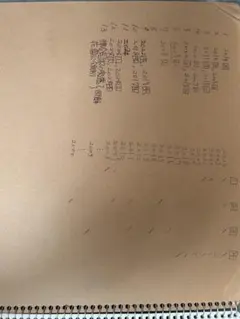 ゆゆゆ様 リクエスト 2点 まとめ商品