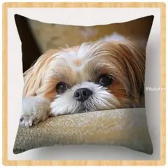 Item thumbnail for item fb5e4b64-b4cf-4b5d-9012-ff32c736b65b