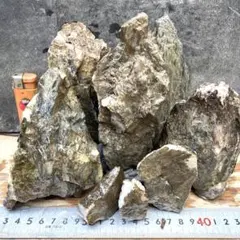 ろくろく様 リクエスト 2点 まとめ商品