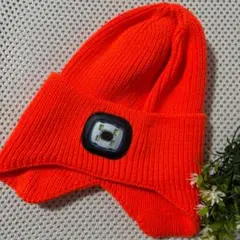 Item thumbnail for item 07f6c473-d7a5-4234-bf32-290e38aaa687