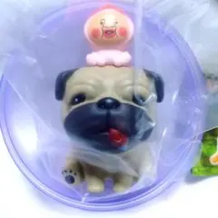 こびとづかん おすわりマスコット4 シークレット ガチャ