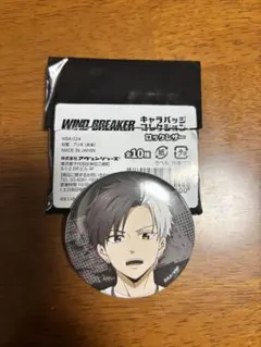 2025年最新】wind breaker 桜遥 ロックレザーの人気アイテム