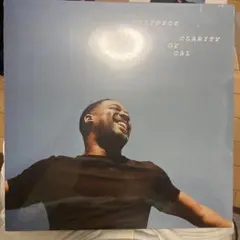 Vulfpeck CLARITY OF CAL アナログ盤 新品未使用品 2026年最新】vulfpeck レコードの人気アイテム - メルカリ