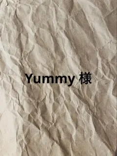 Yummy様専用