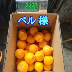 2026年最新】肥の豊の人気アイテム - メルカリ