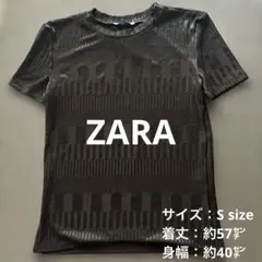 ZARA ブラック ストライプ Tシャツ 半袖