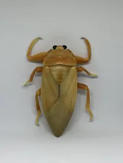 Item thumbnail for item 3119625a-ec9e-4e1c-84b5-e2386a42edc7