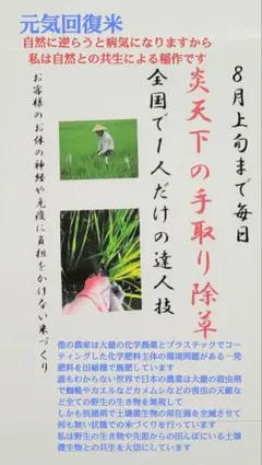 【数量限定】令和7年新米　京都玄米　ヒノヒカリ　栽培期間中農薬不使用　20キロ 数量限定】令和7年新米 京都玄米 ヒノヒカリ 栽培期間中農薬不使用 20