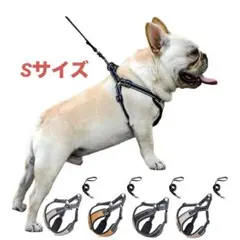 Item thumbnail for item 7e26cb9a-e742-4d84-ac6d-e01ca13e0f52