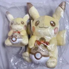 ポケットモンスター ポケモン 30周年 ピカピカ！ピカチュウ