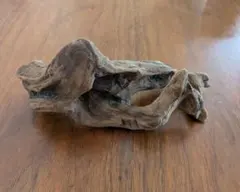 流木　インテリア　the Farm UNIVERSAL