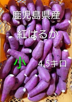 鹿児島県産 紅はるか 小サイズ4.5キロ