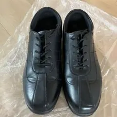 Item thumbnail for item 0cf0fcef-616f-48d1-918f-e9dd67c5197b