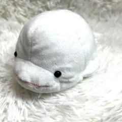 ベルーガ シロイルカ ぬいぐるみ 海のおともだち