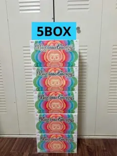 未開封・正規品　ラブブ Big into Energy アソートボックス 5個