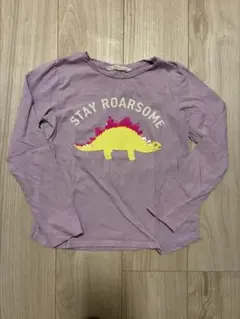 H&M 紫色 スパンコール　恐竜デザイン 長袖カットソー US 10-12