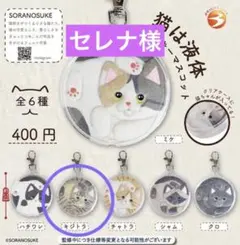 セレナ様 リクエスト 2点 まとめ商品