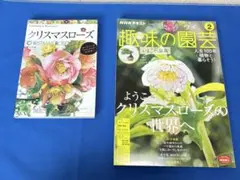 Item thumbnail for item fc5ae7ce-d55d-4401-ab42-c4f0f2d86f45