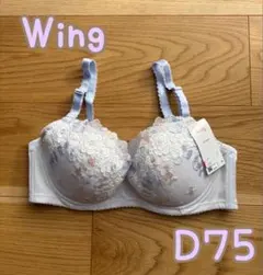 Item thumbnail for item 152761ad-3ebc-4772-8b6a-14c3c05a8263